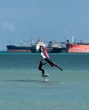 Wingfoiling Lessons