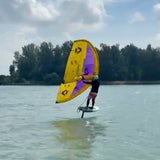 Wingfoiling Lessons
